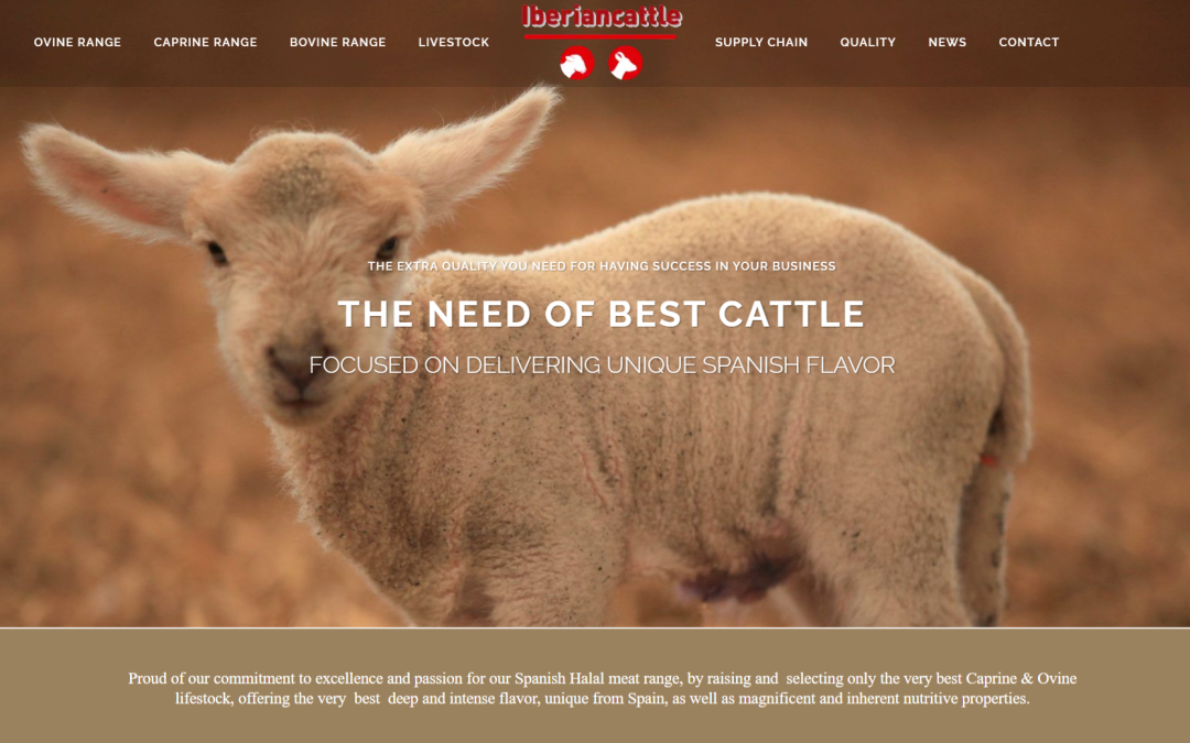 BDX – BXT – SAP SALES DEVELOPMENT